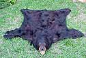 VINTAGE BEAR SKIN RUG